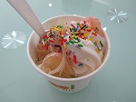 IMG_0369