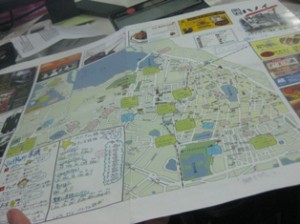 Picture 002
