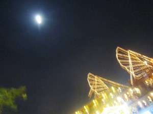 IMG_2341