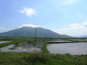 IMG_2459