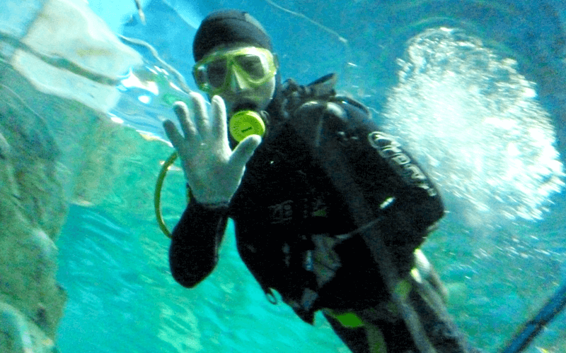 ヴィンパール水族館 スタッフ