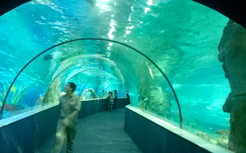 ハノイ水族館 ドーム