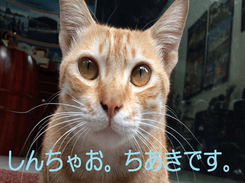 アイキャッチ画像