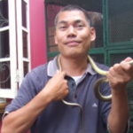 ベトナムハノイから行けるヘビの村レマット～世界の果てまでイッテQでも紹介～