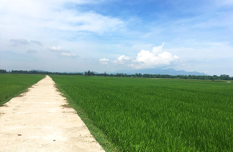 ホイアンおすすめバイクツアーののどかな風景