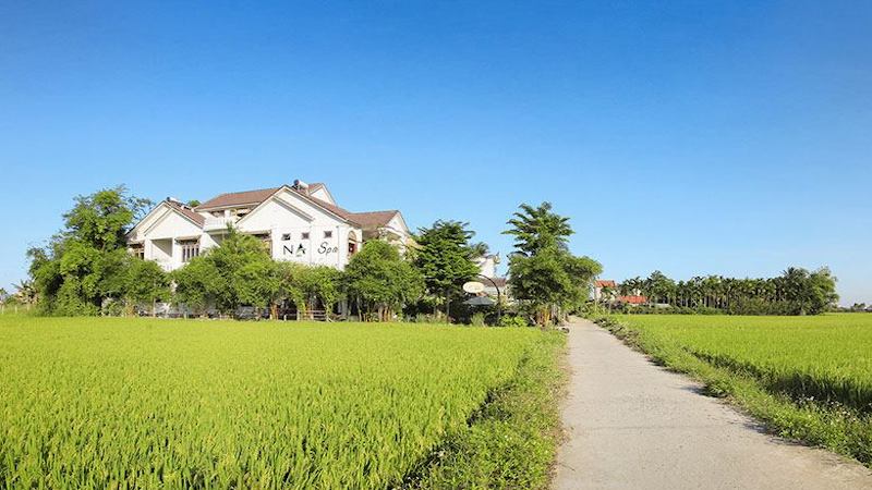 ナスパから見える田園の風景