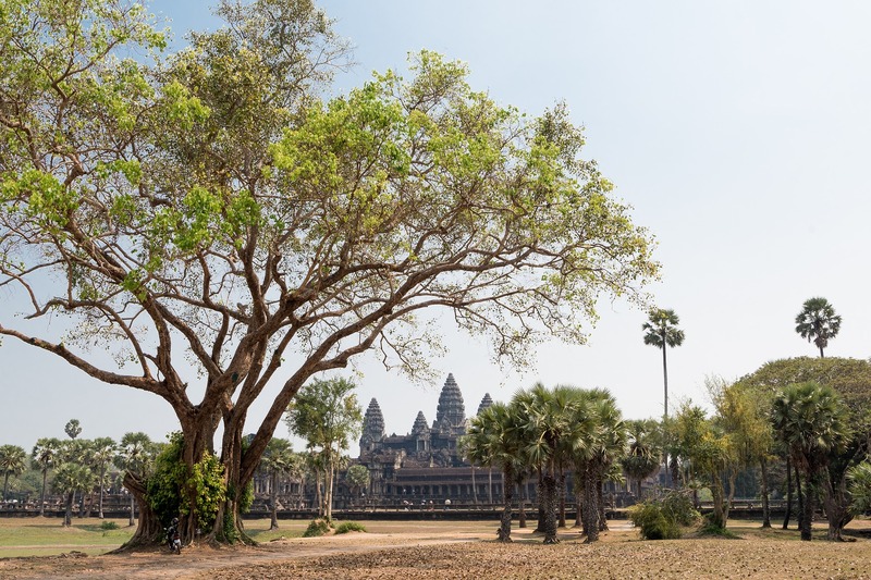 angkorwat