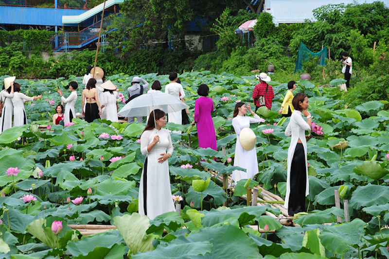 ベトナムの民族衣装「アオザイ」を徹底解説