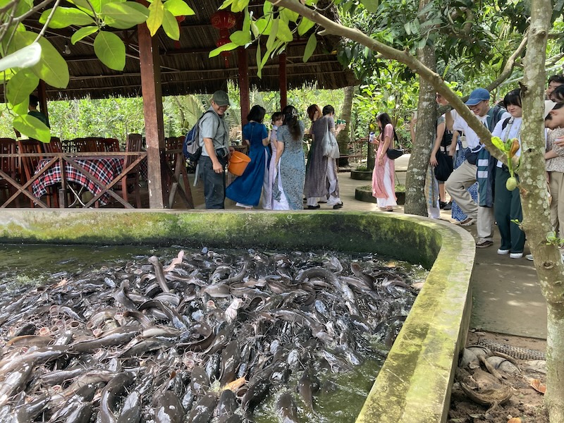 魚の餌やり