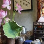 ハノイ観光におすすめ!予約不要で楽しめる本格蓮茶体験|アクセス・料金も解説