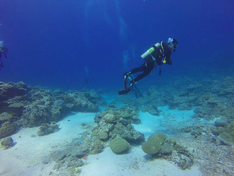 セブ島のダイビングスポット