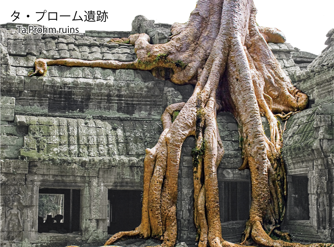 タ・プローム遺跡 Ta Prohm ruins
