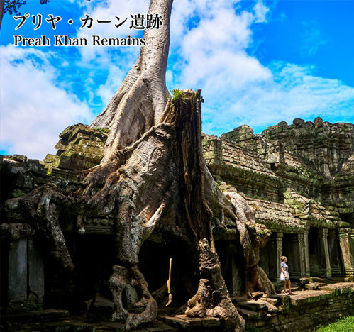 タ・プローム遺跡 Ta Prohm ruins