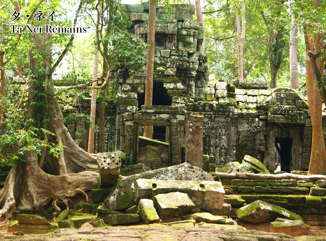 タ・プローム遺跡 Ta Prohm ruins