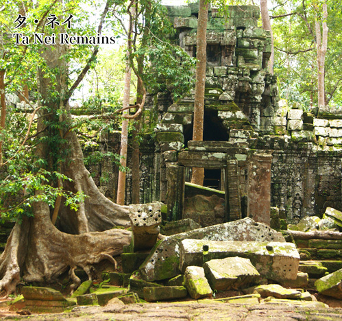 タ・プローム遺跡 Ta Prohm ruins