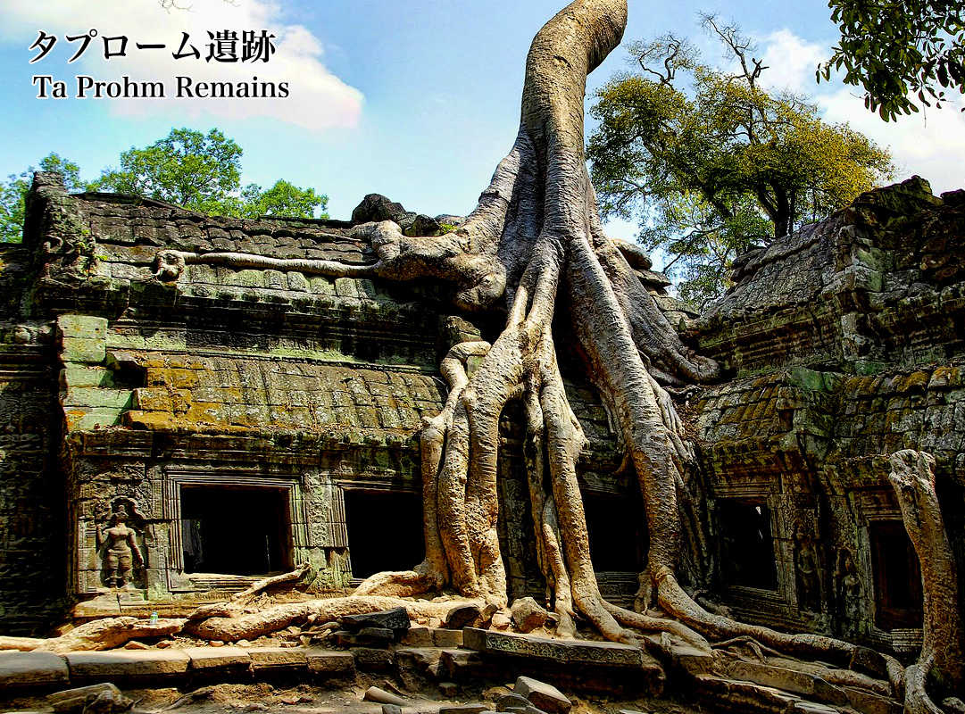 タ・プローム遺跡 Ta Prohm ruins