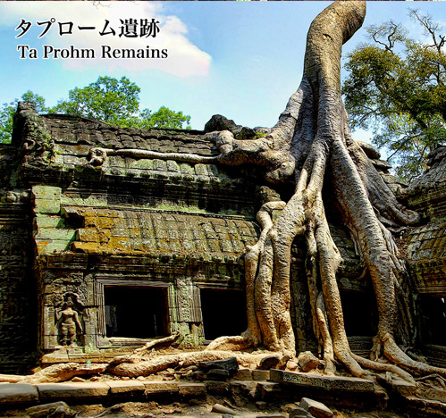 タ・プローム遺跡 Ta Prohm ruins