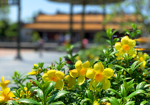 フエ王宮 庭園 フエ王宮 庭園