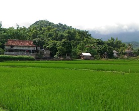 マイチャウののどかな風景