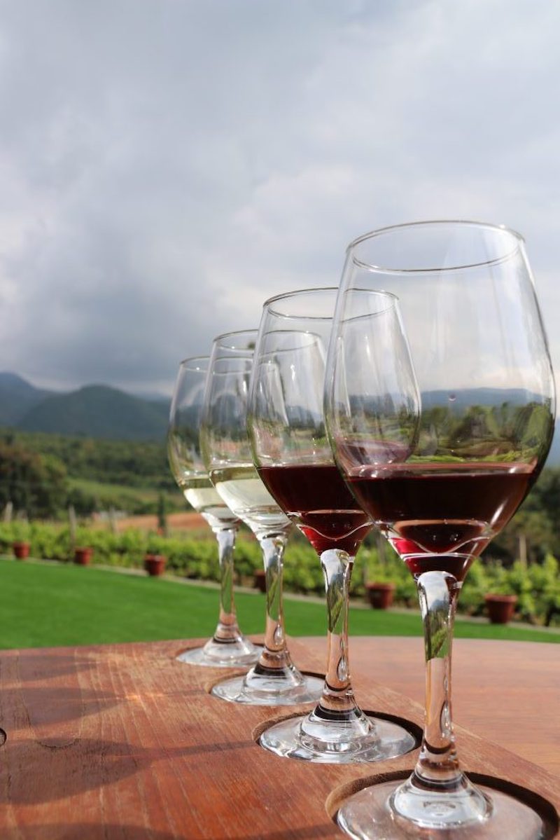 ミャンマーワイン Red Mountain Estate Vineyards &Winery