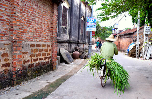 《ノスタルジックなベトナムを体験》グループドゥンラム村半日ツアー