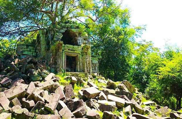 まるでジブリの世界!! 密林の中に眠る寺院!魅惑のベンメリア遺跡半日ツアー（午前発/午後発）