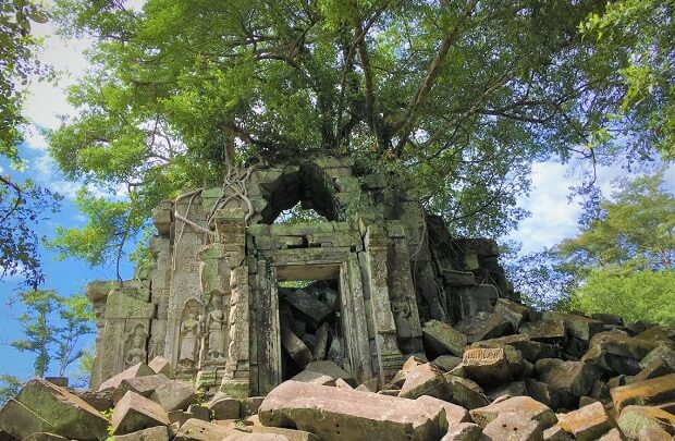 【貸切】まるでジブリの世界!! 密林の中に眠る寺院!魅惑のベンメリア遺跡半日ツアー（午前発/午後発）