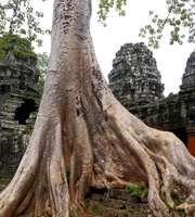 バンテアイ クデイ遺跡 Banteay Kdei の見所と歴史について Tnkトラベルjapan