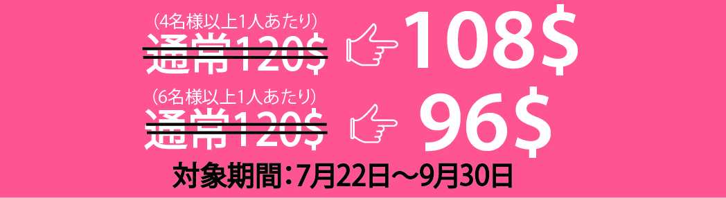 割引き額 【専用車】ハロン湾日帰りツアー