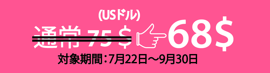 割引き額 ホイアン市内観光＋ミーソン遺跡1日観光ツアー