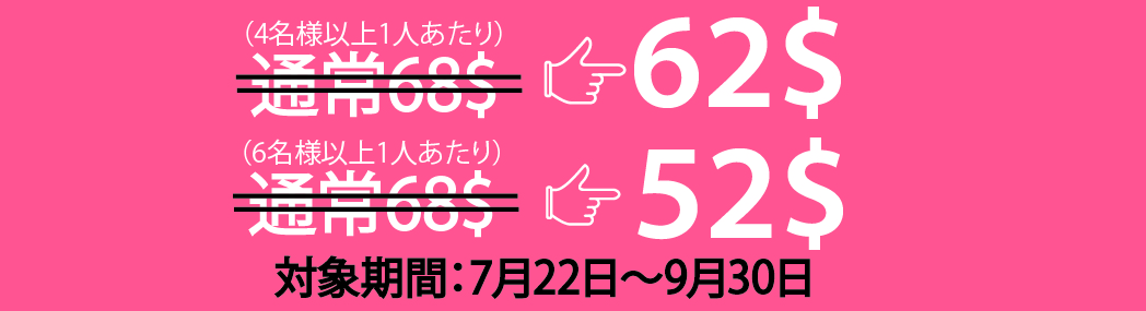 割引き額 メコンデラックス日帰りツアー