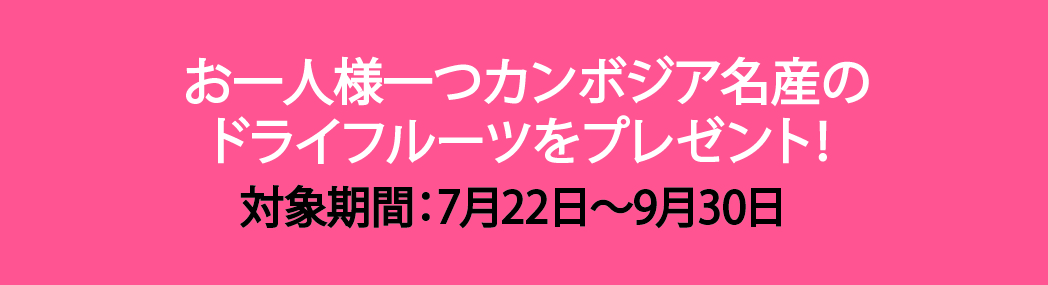 割引き額 【貸切】定番！アンコールワット＋アンコールトム＋タプローム＋夕日鑑賞1日ツアー