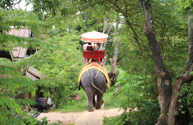 タイ旅行で満足度とコスパが高い暇つぶし