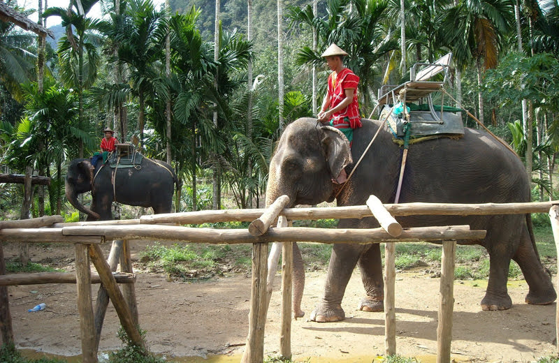 バンコク在住者が選ぶ！サファリワールドなどおすすめ動物園ベスト3