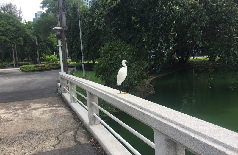 バンコク市民の憩いの場、ルンピーニ公園への行き方