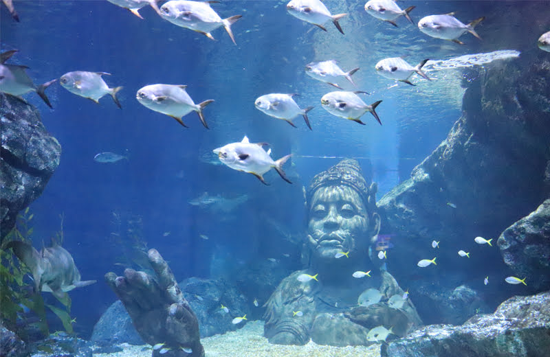 雨の日は…ここ！バンコクにある東南アジア最大級の水族館