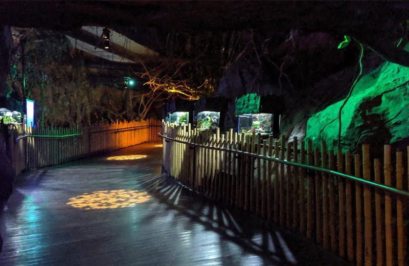 雨の日は…ここ！バンコクにある東南アジア最大級の水族館