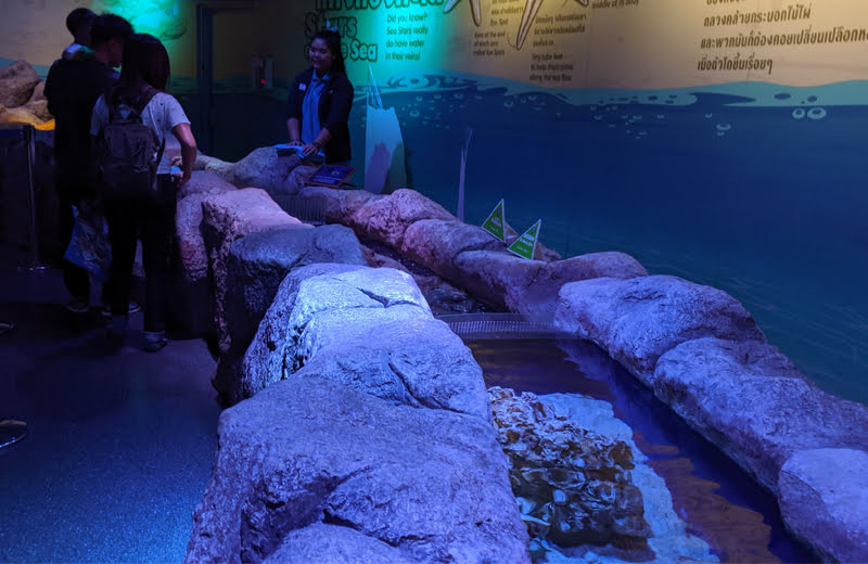 雨の日は…ここ！バンコクにある東南アジア最大級の水族館